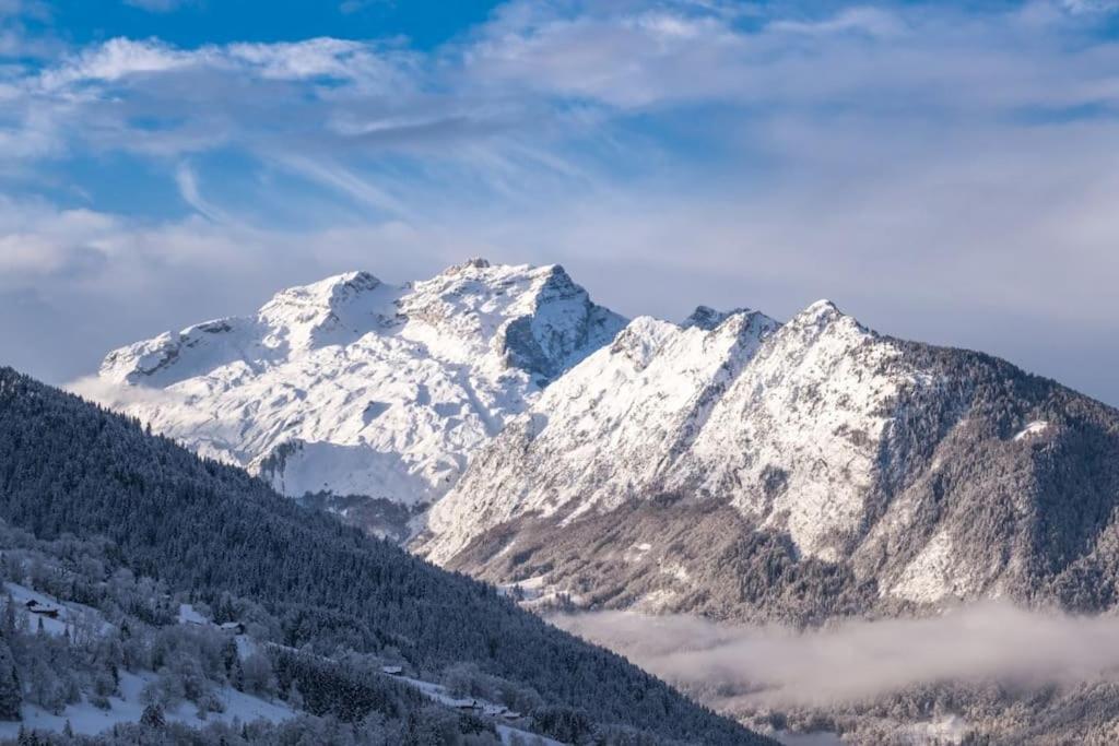 Chalet Zenspace Le Grand-Bornand Exterior foto